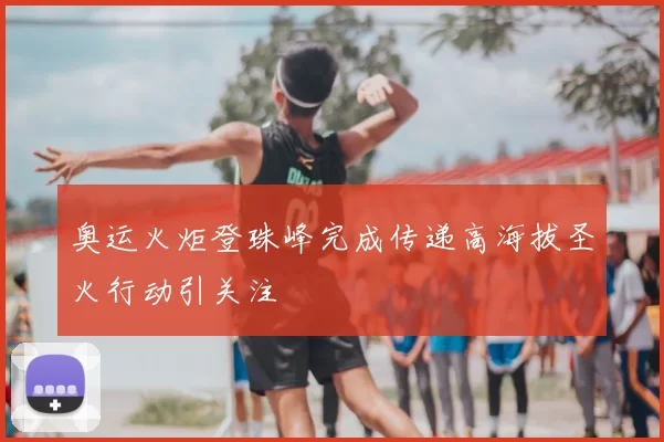 奥运火炬登珠峰完成传递高海拔圣火行动引关注