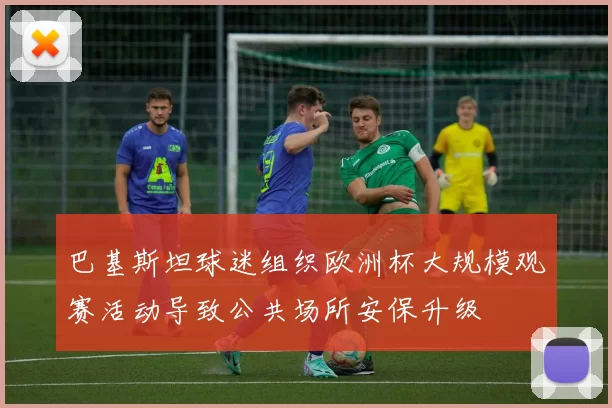 巴基斯坦球迷组织欧洲杯大规模观赛活动导致公共场所安保升级