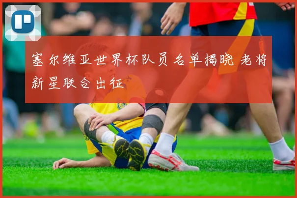 塞尔维亚世界杯队员名单揭晓 老将新星联合出征