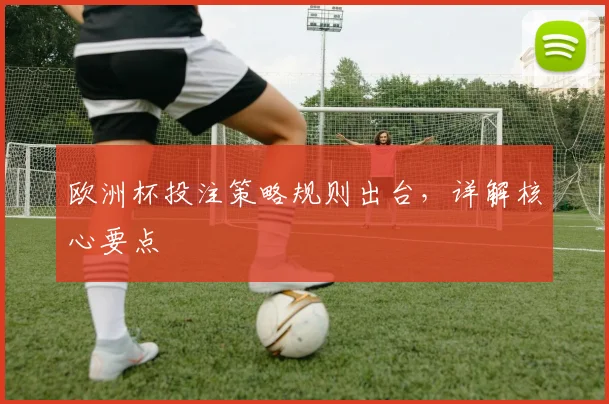 欧洲杯投注策略规则出台,详解核心要点