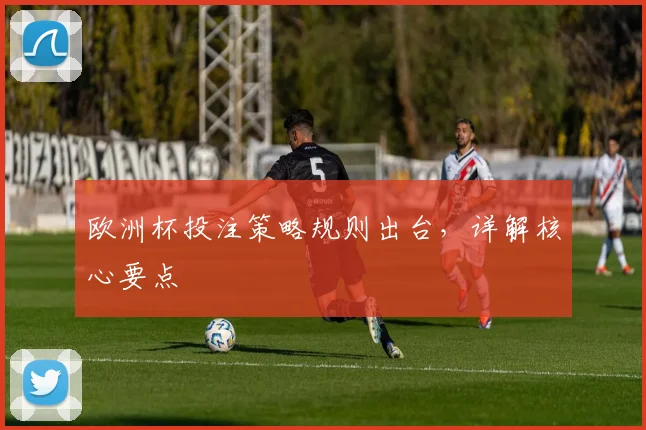 欧洲杯投注策略规则出台,详解核心要点