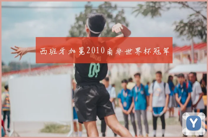 西班牙加冕2010南非世界杯冠军